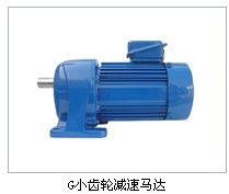 G小齒輪馬達